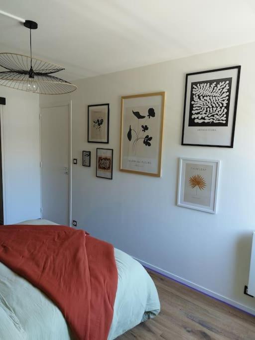 Appartement Au Coeur De Paimpol Extérieur photo